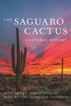 The Saguaro Cactus