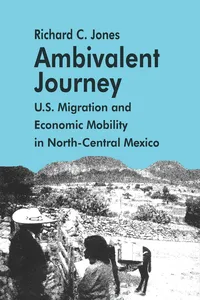 Ambivalent Journey_cover