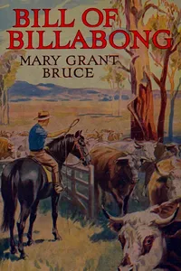 Bill of Billabong_cover