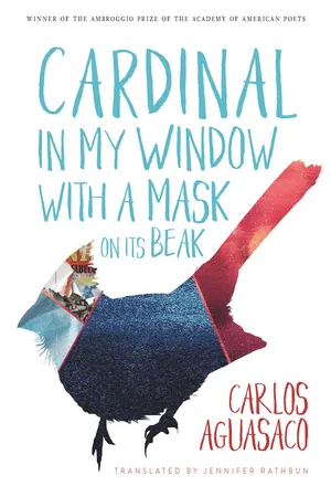 Cardinal in My Window with a Mask on Its Beak