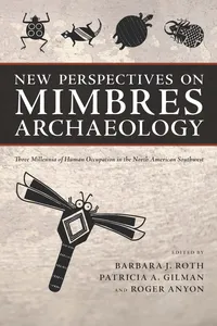 New Perspectives on Mimbres Archaeology_cover