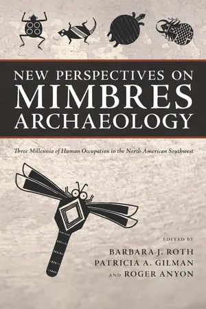 New Perspectives on Mimbres Archaeology