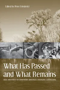What Has Passed and What Remains_cover
