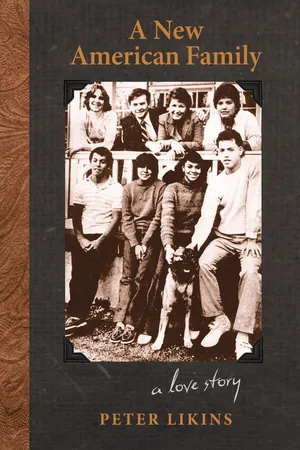 A New American Family