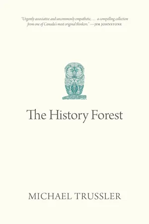 The History Forest