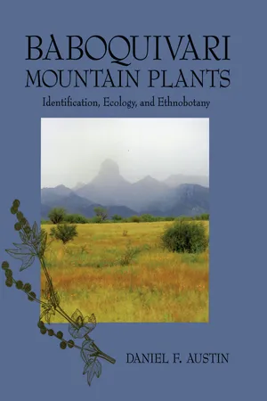 Baboquivari Mountain Plants