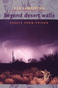 Beyond Desert Walls_cover