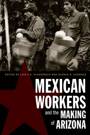 Mexican Workers and the Making of Arizona