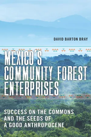 Mexico’s Community Forest Enterprises