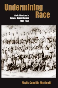 Undermining Race_cover