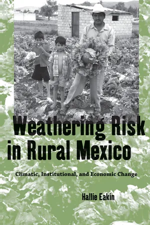 Weathering Risk in Rural Mexico