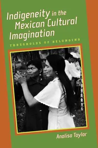 Indigeneity in the Mexican Cultural Imagination_cover