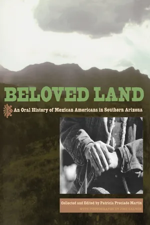 Beloved Land