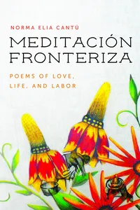Meditación Fronteriza_cover