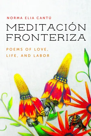 Meditación Fronteriza
