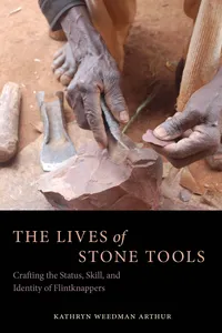 The Lives of Stone Tools_cover