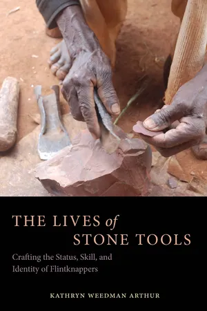 The Lives of Stone Tools