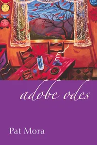 Adobe Odes_cover