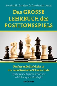 Das Grosse Lehrbuch des Positionsspiels_cover