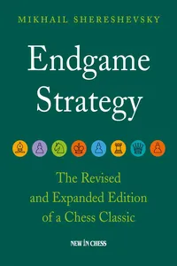 Endgame Strategy_cover