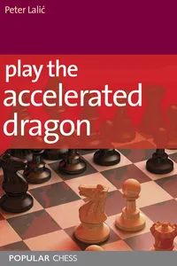 Play the Accelerated Dragon_cover