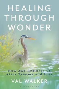 Healing Through Wonder_cover