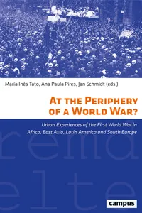 At the Periphery of a World War?_cover