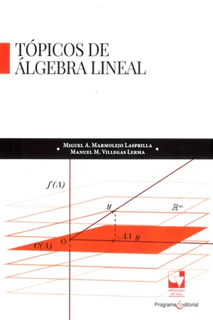 Tópicos de álgebra lineal