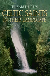 Celtic Saints In Their Landscape_cover
