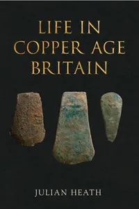 Life in Copper Age Britain_cover