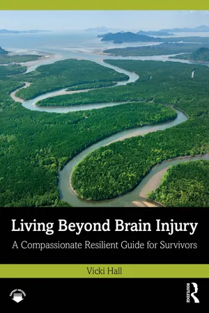 Living Beyond Brain Injury