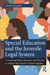 Special Education and the Juvenile Legal System_cover