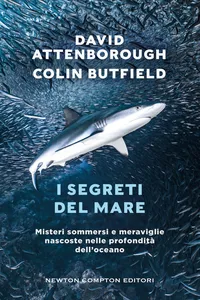 I segreti del mare_cover