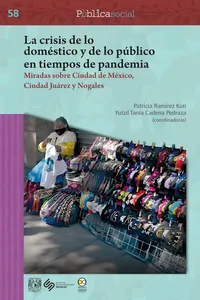 La crisis de lo doméstico y de lo público en tiempos de pandemia: miradas sobre Ciudad de México, Ciudad Juárez y Nogales_cover