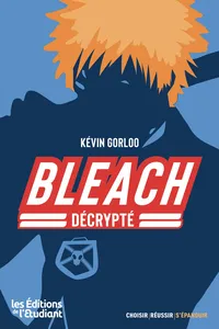 Bleach décrypté_cover