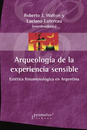 Arqueología de la experiencia sensible