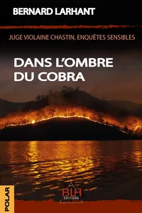 Dans l'ombre du Cobra_cover