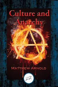 Culture and Anarchy_cover