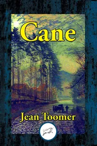 Cane_cover