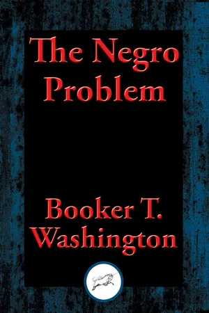 The Negro Problem
