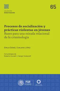 Procesos de socialización y prácticas violentas en jóvenes._cover