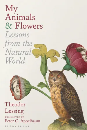 My Animals & Flowers