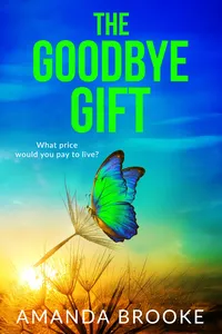 The Goodbye Gift_cover