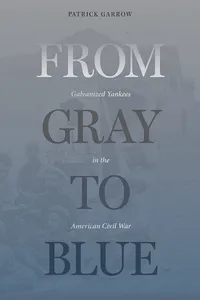 From Gray to Blue_cover