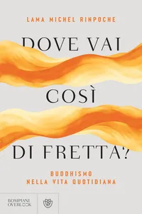 Dove vai così di fretta?_cover