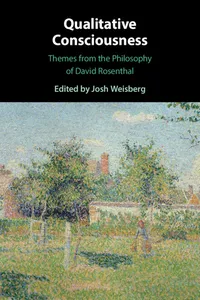 Qualitative Consciousness_cover