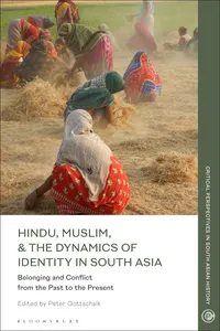 Hindu, Muslim, & the Dynamics of Identity in South Asia_cover