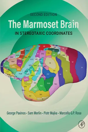 The Marmoset Brain in Stereotaxic Coordinates