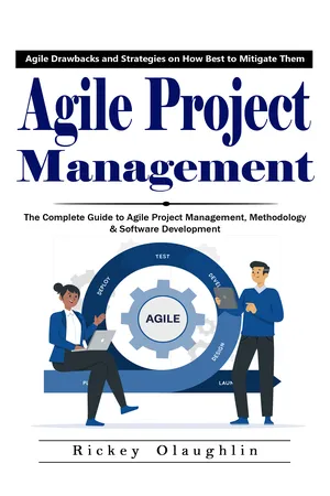 Agile Project Management: Agile Drawbacks and Strategies on How Best to Mitigate Them (The Complete Guide to Agile Project Management, Methodology & Software Development)