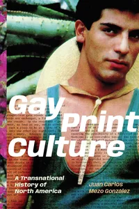Gay Print Culture_cover